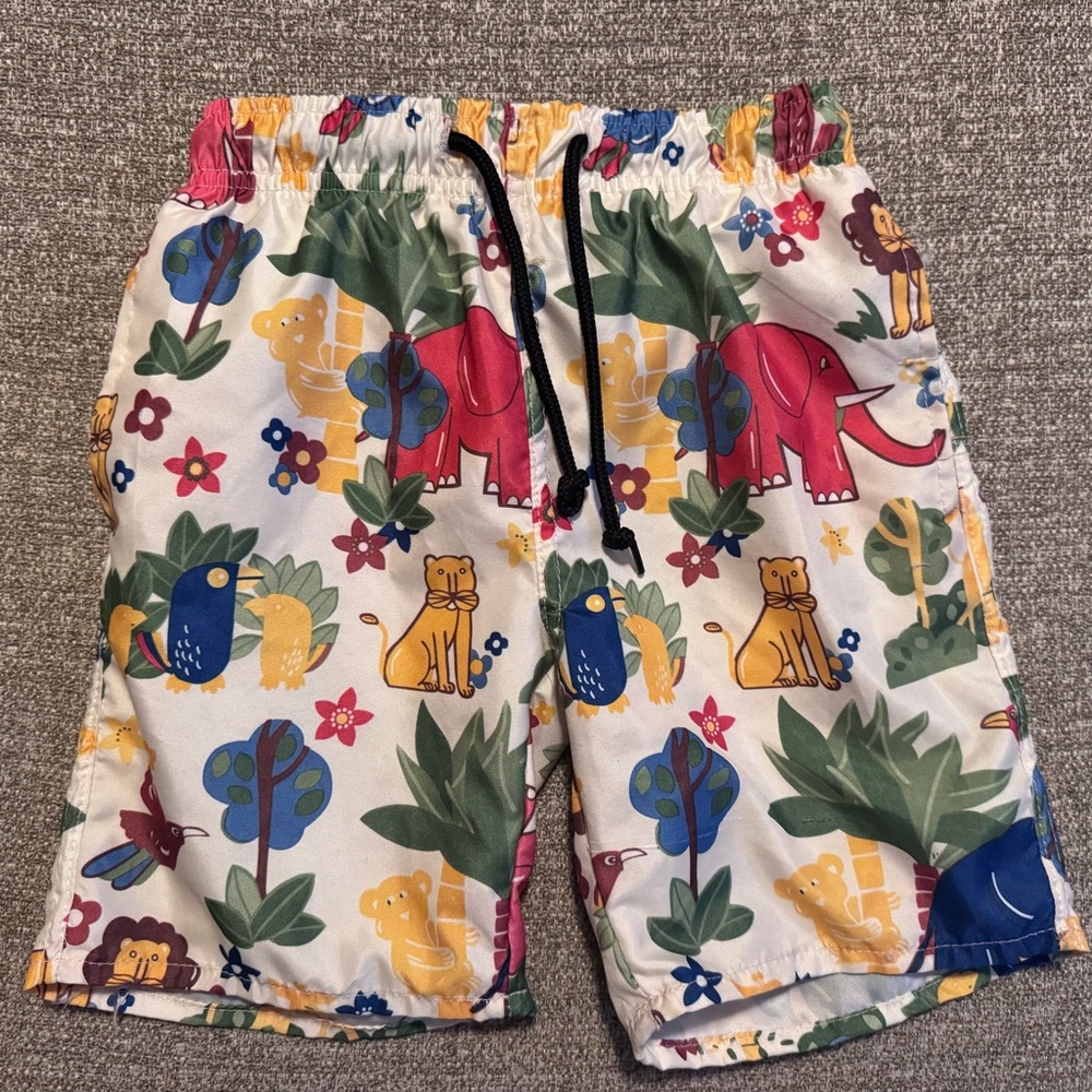 🐘Vintage Express Swim Trunks🐘